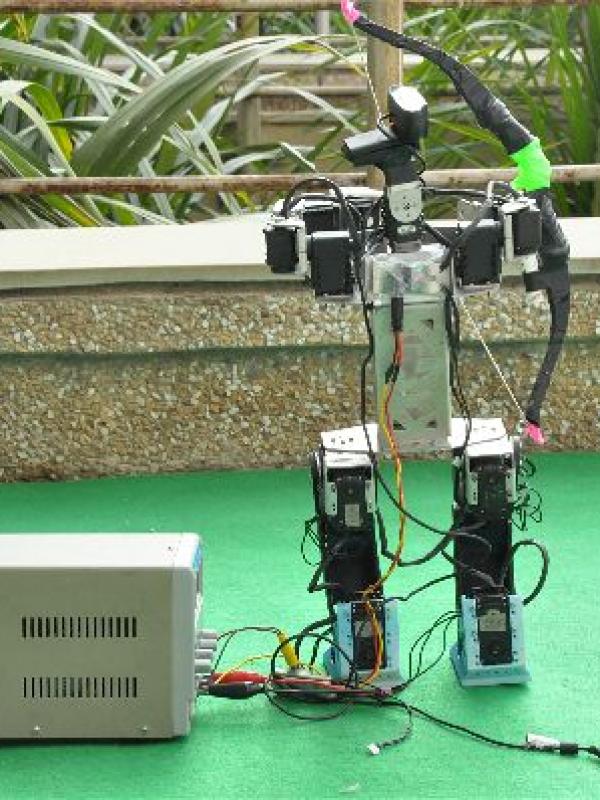 SIG Meet on IoT Robotics & AI